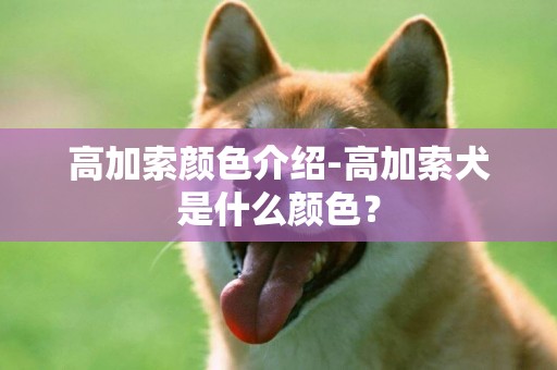 高加索顏色介紹-高加索犬是什么顏色？