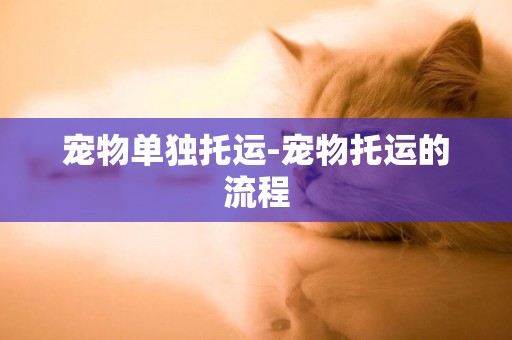 寵物單獨托運-寵物托運的流程