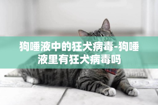 狗唾液中的狂犬病毒-狗唾液里有狂犬病毒嗎