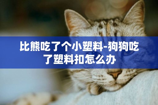 比熊吃了個小塑料-狗狗吃了塑料扣怎么辦
