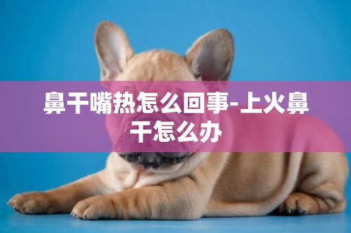 鼻干嘴熱怎么回事-上火鼻干怎么辦