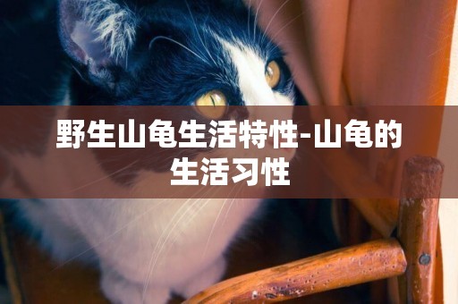 野生山龜生活特性-山龜的生活習性