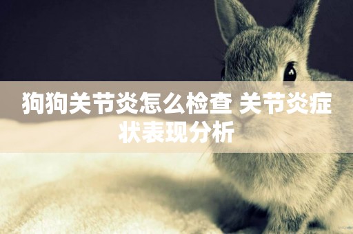 狗狗關節炎怎么檢查 關節炎癥狀表現分析