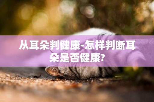 從耳朵判健康-怎樣判斷耳朵是否健康?