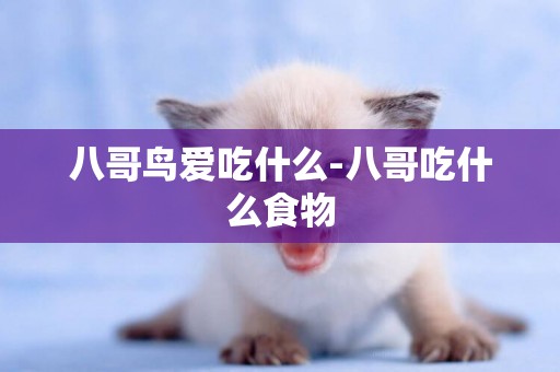 八哥鳥愛吃什么-八哥吃什么食物