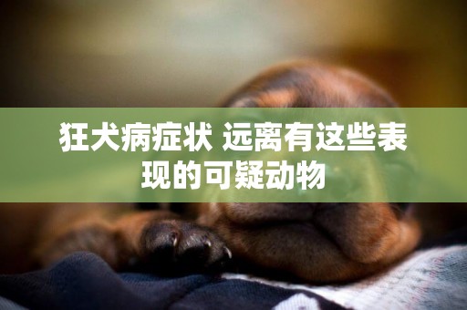 狂犬病癥狀 遠離有這些表現的可疑動物