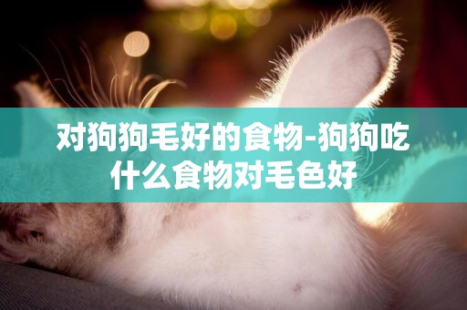 對狗狗毛好的食物-狗狗吃什么食物對毛色好