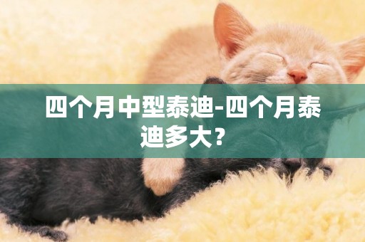 四個月中型泰迪-四個月泰迪多大？