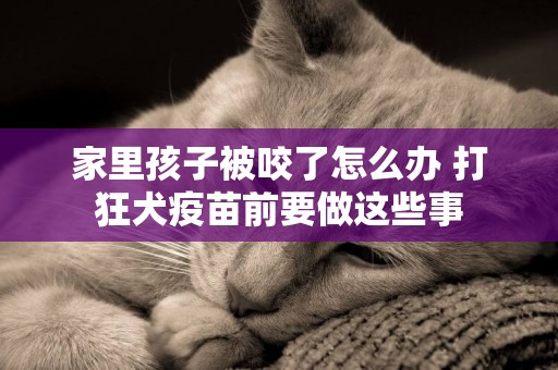 家里孩子被咬了怎么辦 打狂犬疫苗前要做這些事