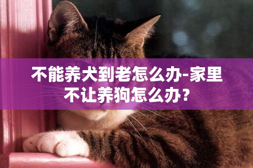 不能養犬到老怎么辦-家里不讓養狗怎么辦？