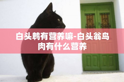 白頭鵯有營養嘛-白頭翁鳥肉有什么營養