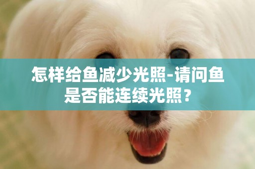 怎樣給魚減少光照-請問魚是否能連續光照？