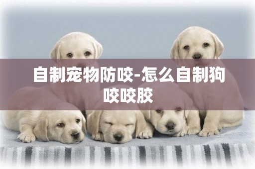 自制寵物防咬-怎么自制狗咬咬膠