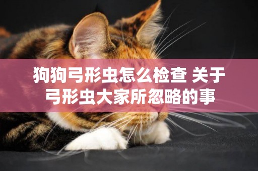 狗狗弓形蟲怎么檢查 關于弓形蟲大家所忽略的事