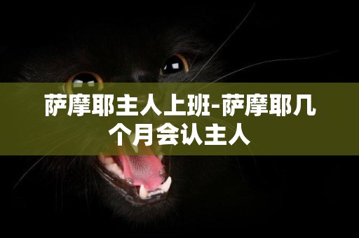 薩摩耶主人上班-薩摩耶幾個月會認主人