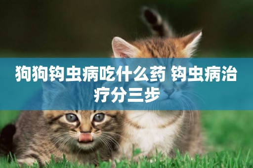 狗狗鉤蟲病吃什么藥 鉤蟲病治療分三步