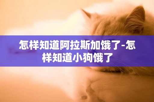 怎樣知道阿拉斯加餓了-怎樣知道小狗餓了