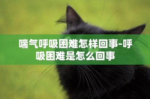 喘氣呼吸困難怎樣回事-呼吸困難是怎么回事