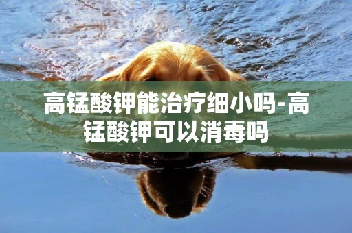 高錳酸鉀能治療細小嗎-高錳酸鉀可以消毒嗎