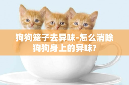 狗狗籠子去異味-怎么消除狗狗身上的異味?