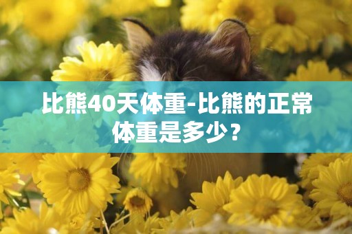 比熊40天體重-比熊的正常體重是多少？