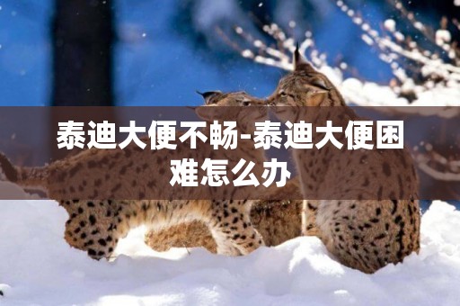 泰迪大便不暢-泰迪大便困難怎么辦