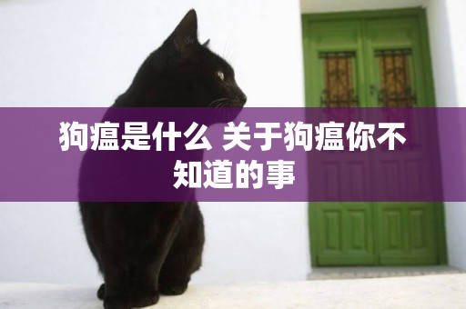 狗瘟是什么 關于狗瘟你不知道的事