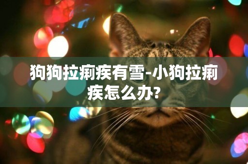狗狗拉痢疾有雪-小狗拉痢疾怎么辦?