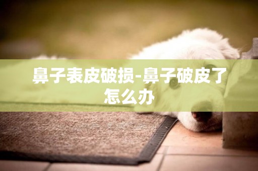 鼻子表皮破損-鼻子破皮了怎么辦