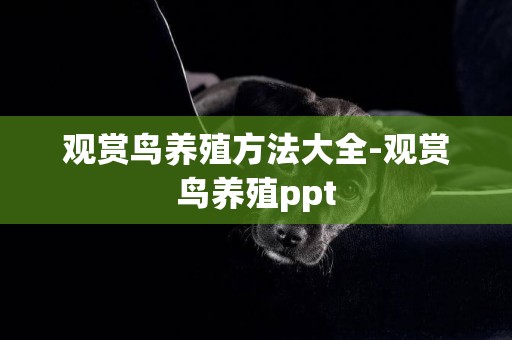 觀賞鳥養殖方法大全-觀賞鳥養殖ppt