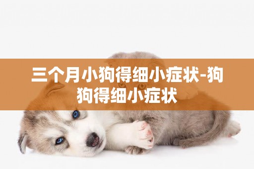 三個月小狗得細小癥狀-狗狗得細小癥狀