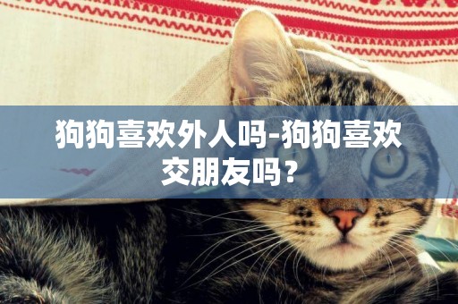 狗狗喜歡外人嗎-狗狗喜歡交朋友嗎？