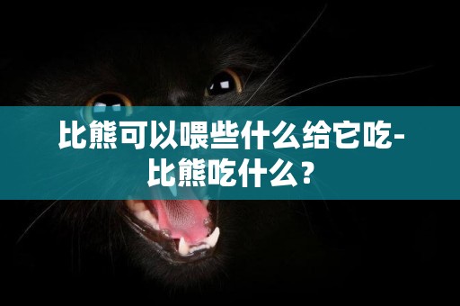 比熊可以喂些什么給它吃-比熊吃什么？