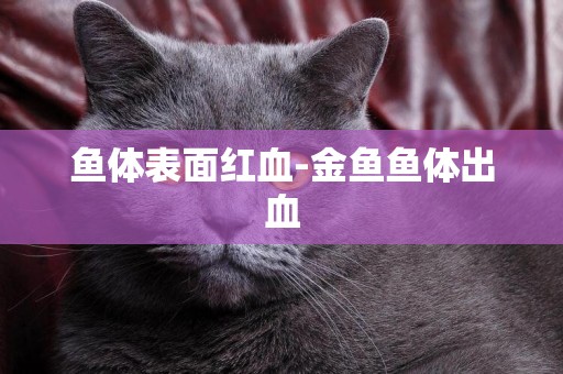 魚體表面紅血-金魚魚體出血