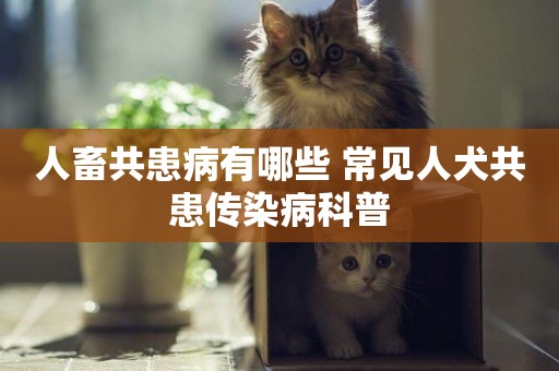 人畜共患病有哪些 常見人犬共患傳染病科普