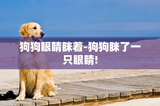 狗狗眼睛瞇著-狗狗瞇了一只眼睛!