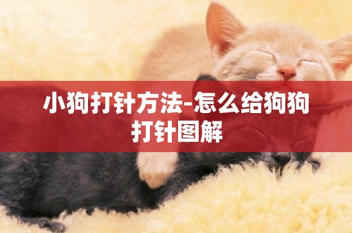小狗打針方法-怎么給狗狗打針圖解