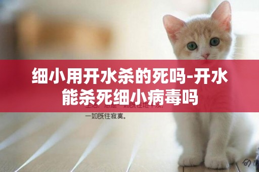 細小用開水殺的死嗎-開水能殺死細小病毒嗎