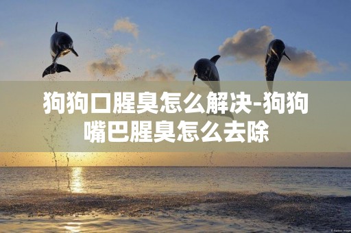 狗狗口腥臭怎么解決-狗狗嘴巴腥臭怎么去除