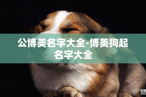 公博美名字大全-博美狗起名字大全