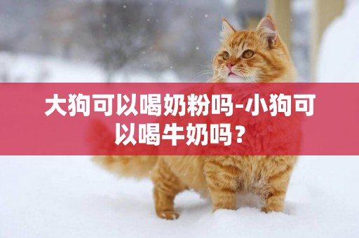 大狗可以喝奶粉嗎-小狗可以喝牛奶嗎？