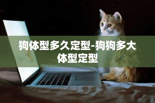 狗體型多久定型-狗狗多大體型定型