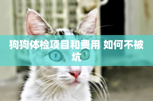 狗狗體檢項目和費用 如何不被坑