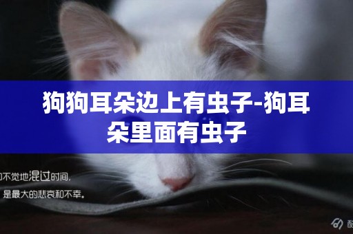 狗狗耳朵邊上有蟲子-狗耳朵里面有蟲子