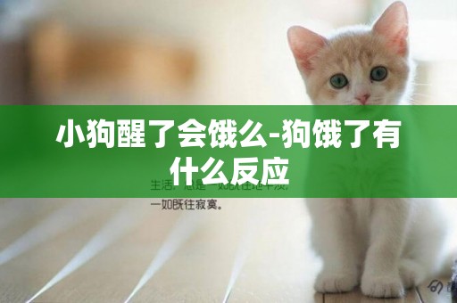 小狗醒了會餓么-狗餓了有什么反應