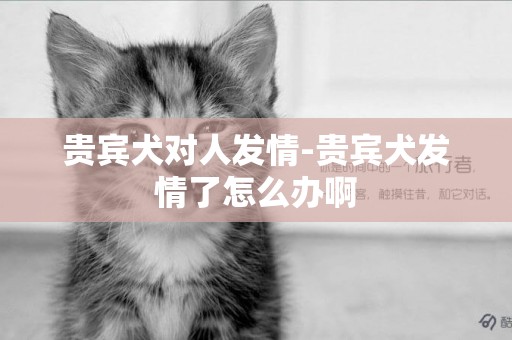 貴賓犬對人發情-貴賓犬發情了怎么辦啊