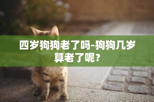 四歲狗狗老了嗎-狗狗幾歲算老了呢？