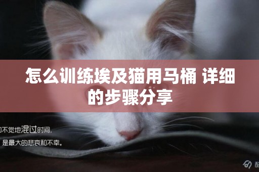 怎么訓練埃及貓用馬桶 詳細的步驟分享