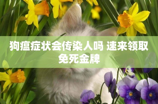 狗瘟癥狀會傳染人嗎 速來領取免死金牌