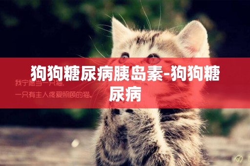 狗狗糖尿病胰島素-狗狗糖尿病